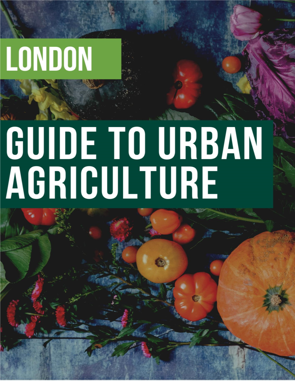 Guide to Urban Agriculture Ma