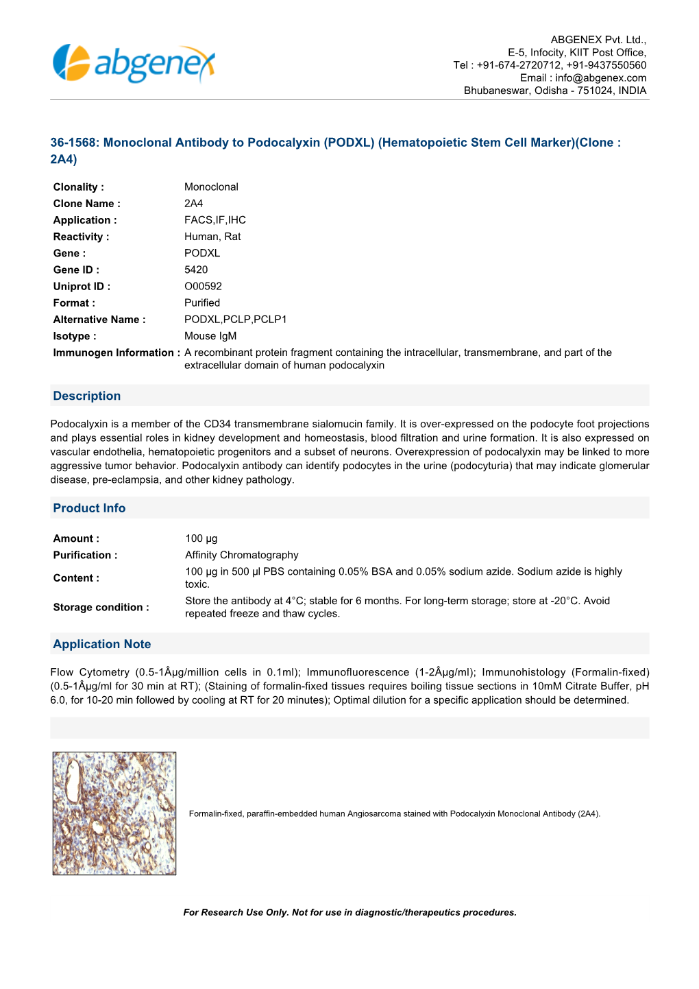 Monoclonal Antibody to Podocalyxin (PODXL) (Hematopoietic Stem Cell Marker)(Clone : 2A4)