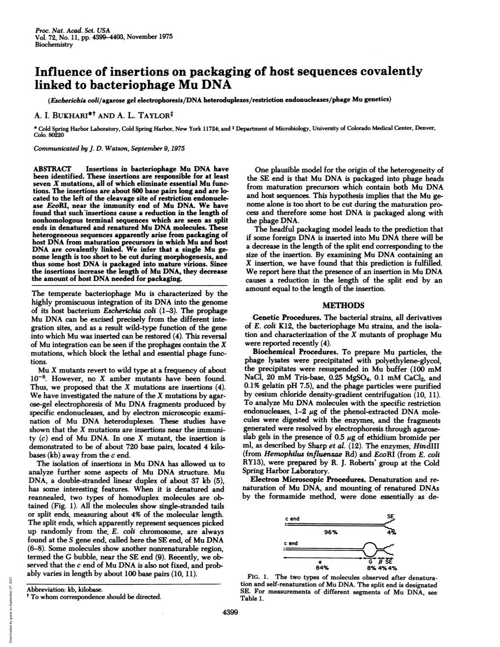 Linked to Bacteriophage Mu DNA (Escherichia Coli/Agarose Gel Electrophoresis/DNA Heteroduplexes/Restriction Endonucleases/Phage Mu Genetics) A