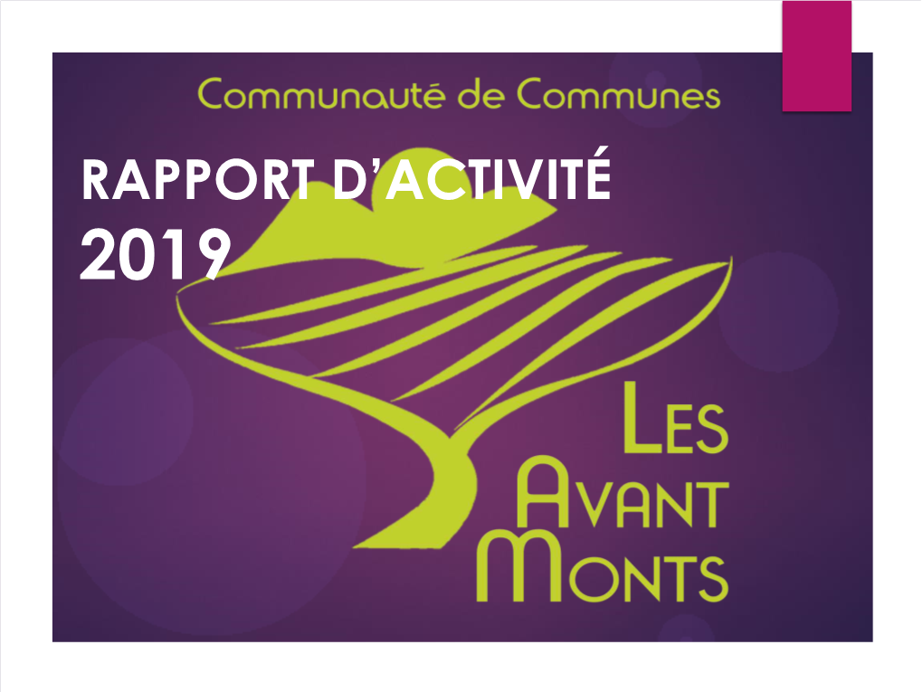 Rapport D'activités CCAM 2019