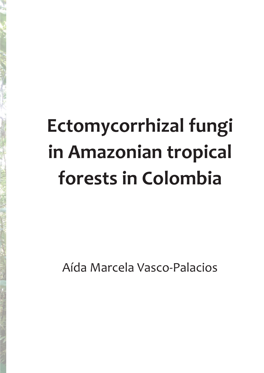 Ectomycorrhizal Fungi in Amazonian Tropical Forests in Colombia