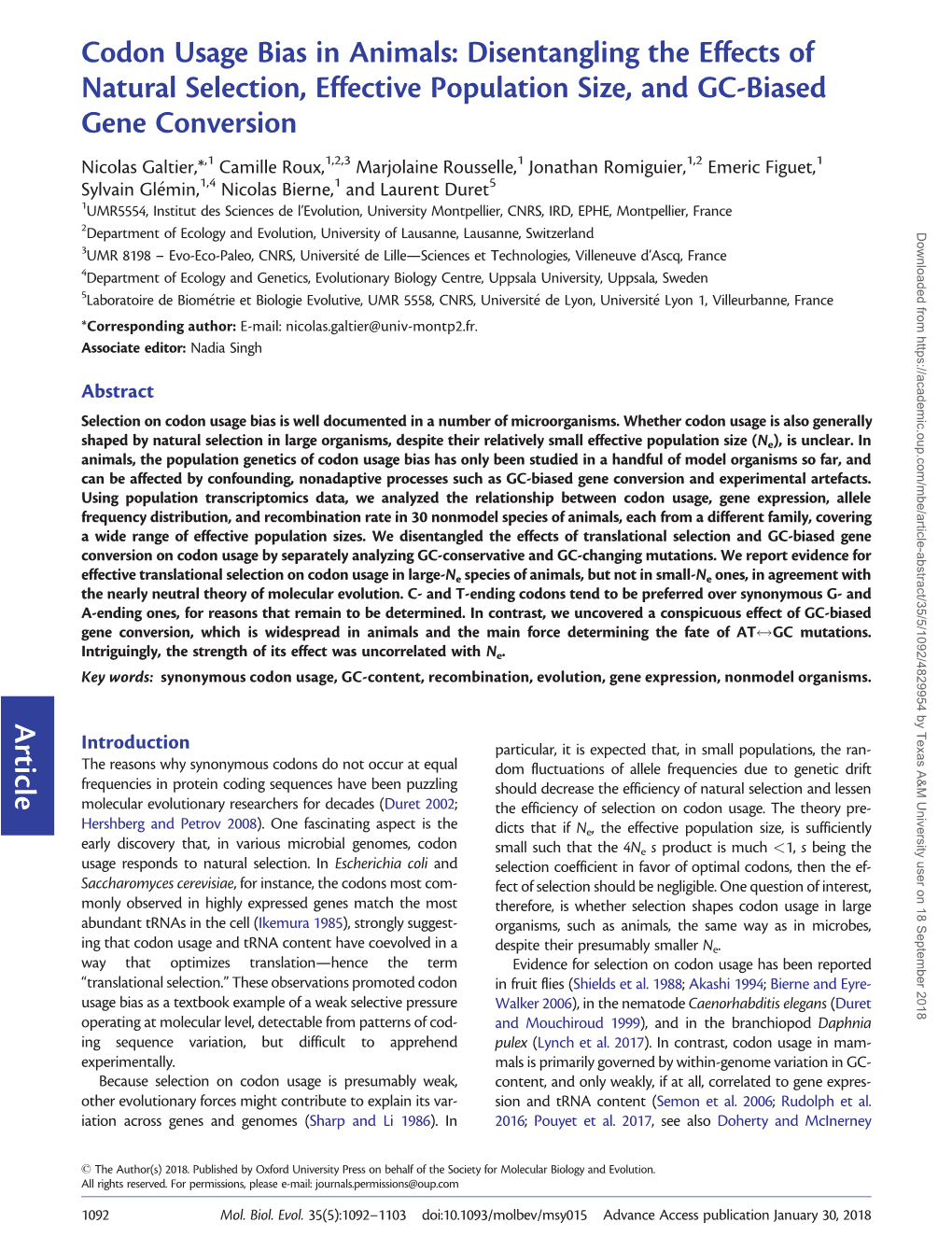 Codon Usage Bias in Animals