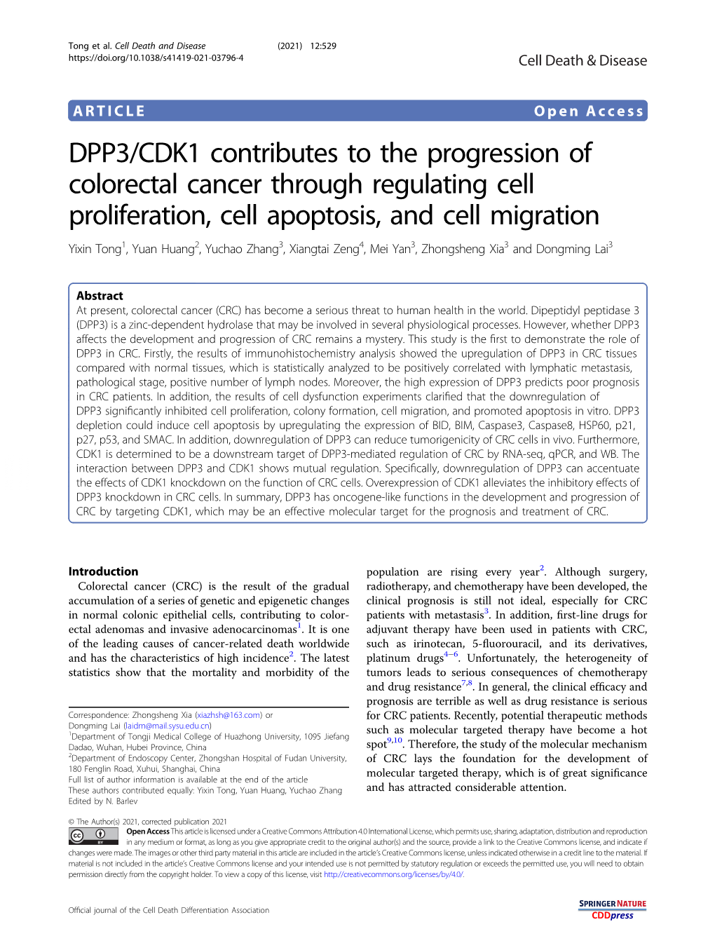 DPP3/CDK1 Contributes to the Progression of Colorectal Cancer