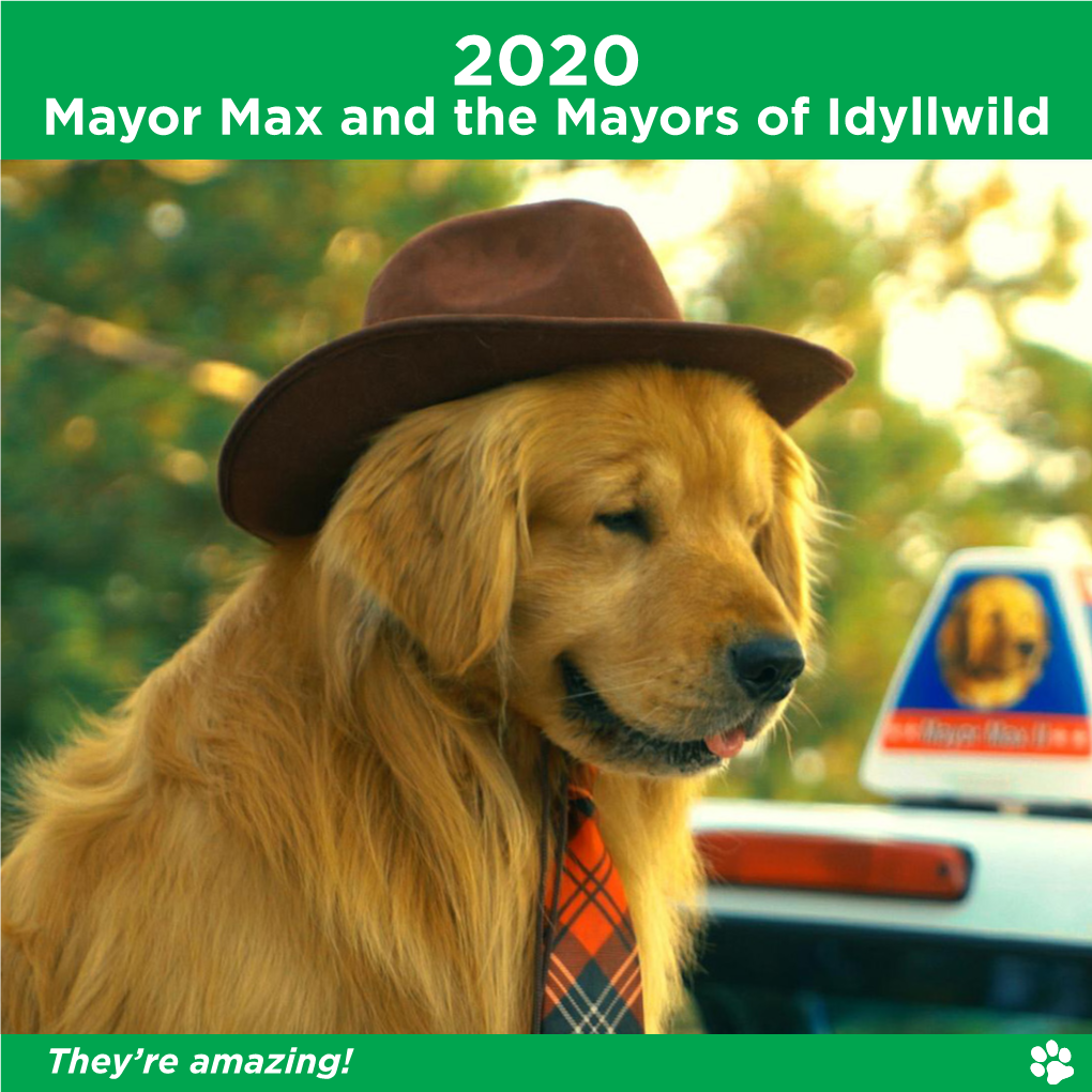 Mayor Max and the Mayors of Idyllwild