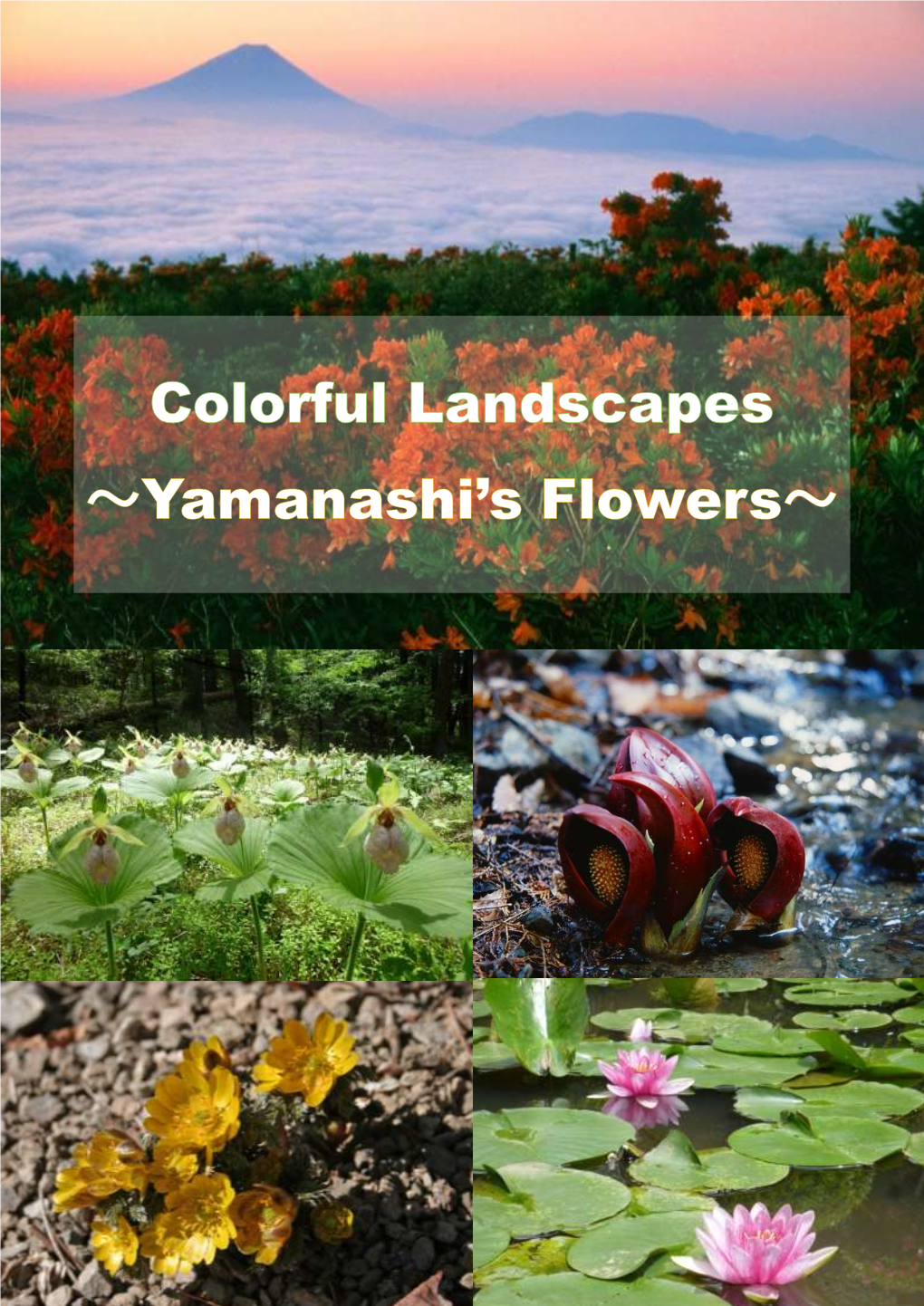 Colorfullandscapes.Pdf