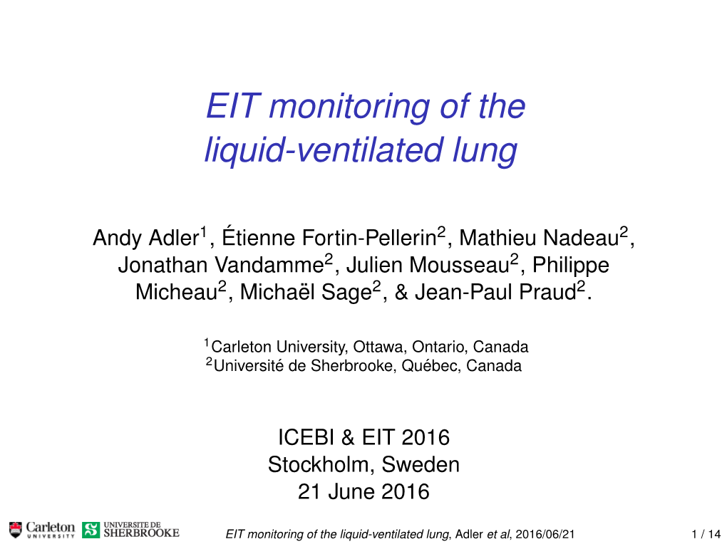 EIT Monitoring of the Liquid-Ventilated Lung