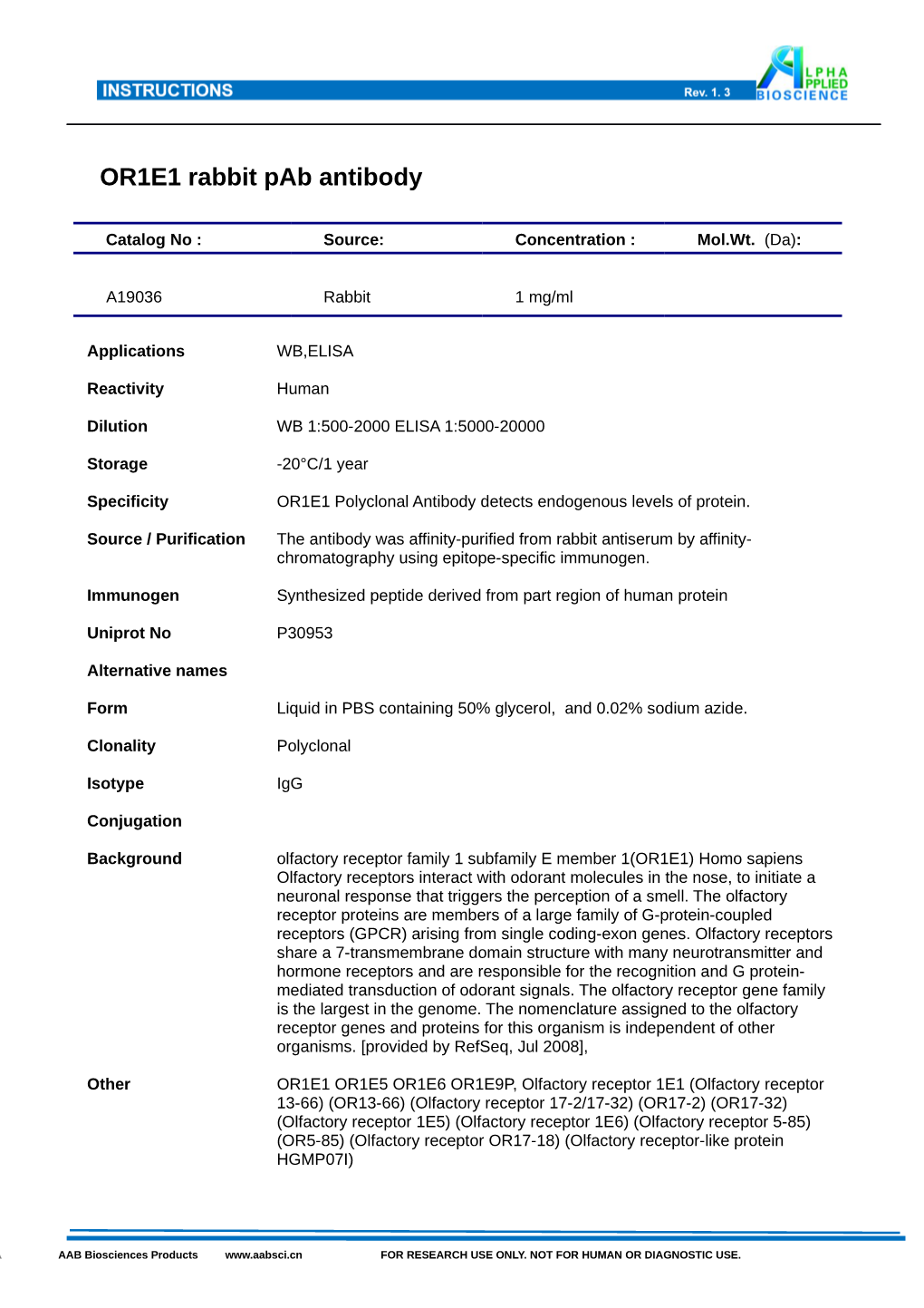 OR1E1 Rabbit Pab Antibody