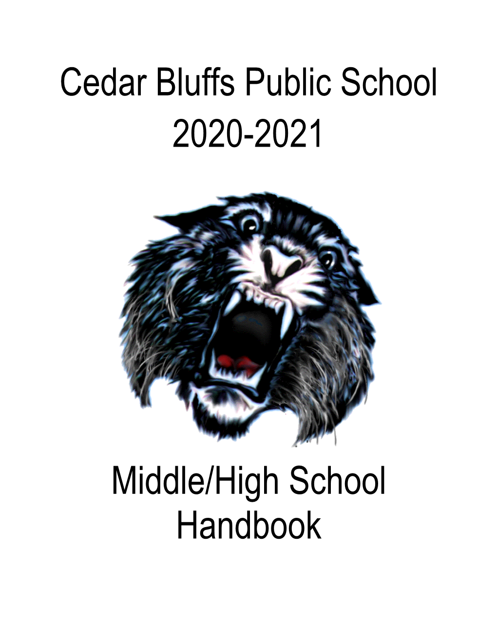 Cedar Bluffs Public School 2020-2021 Middle/High School