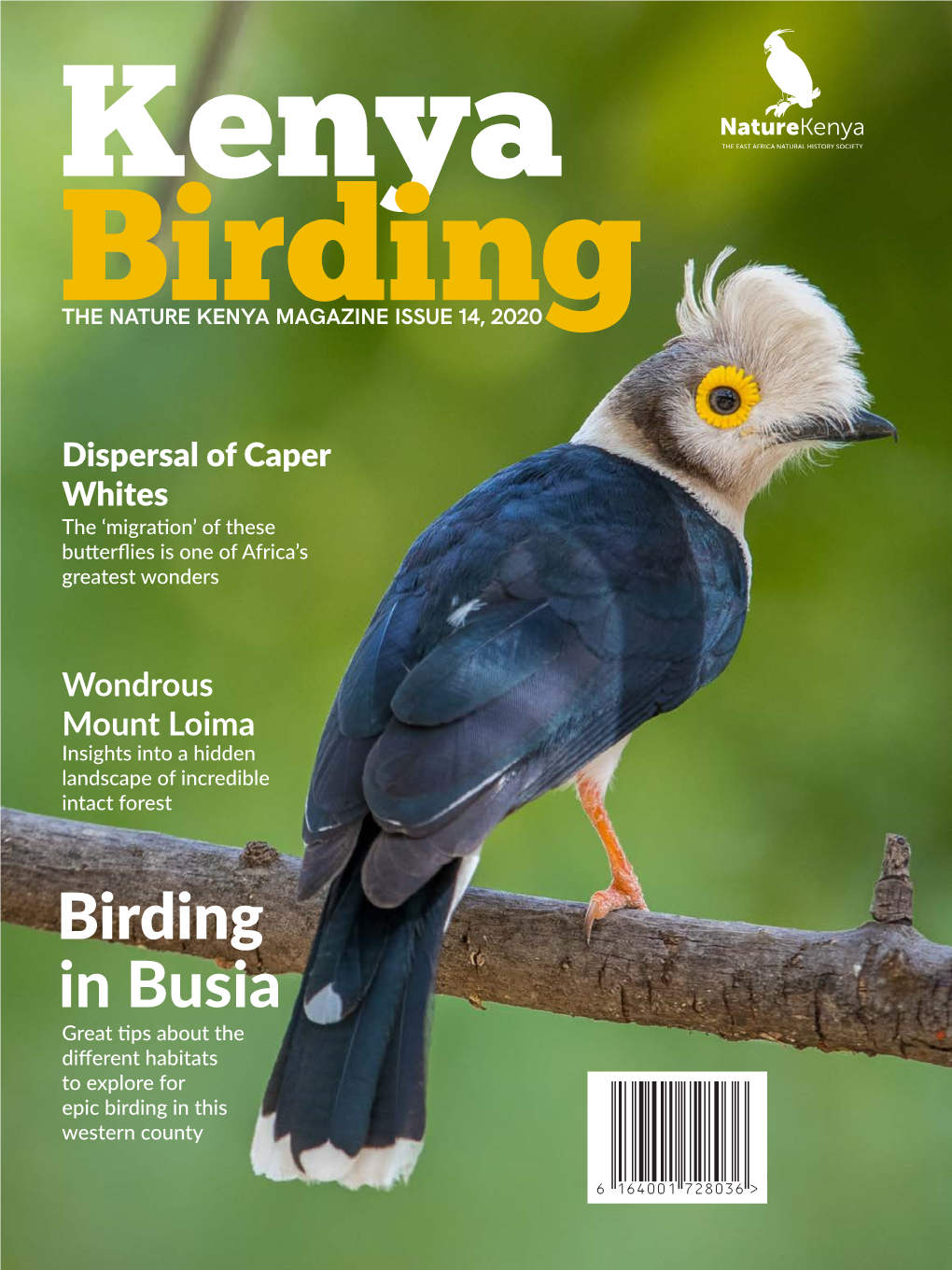 Kenya Birding Magazine