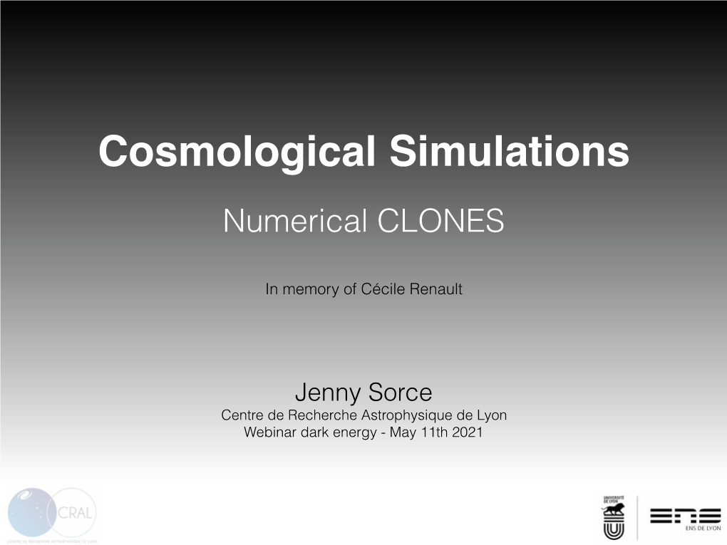 Cosmological Simulations