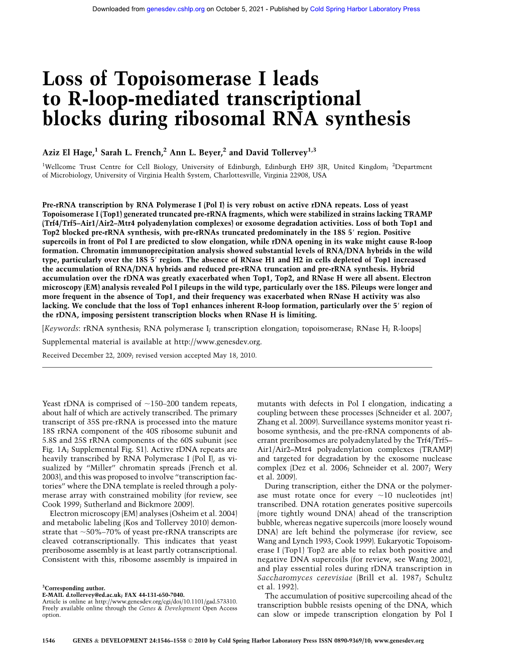 Loss of Topoisomerase I Leads to R-Loop-Mediated Transcriptional Blocks During Ribosomal RNA Synthesis