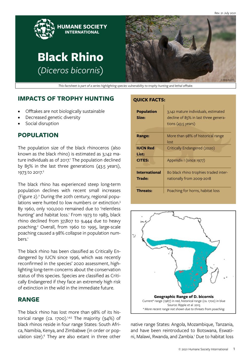Black Rhino (Diceros Bicornis)