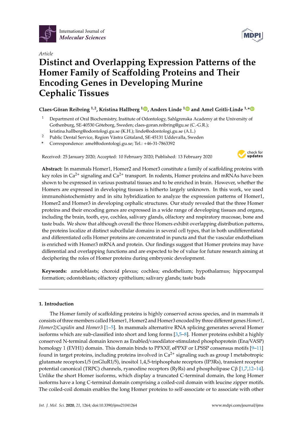 Distinct and Overlapping Expression Patterns of the Homer Family of Scaﬀolding Proteins and Their Encoding Genes in Developing Murine Cephalic Tissues