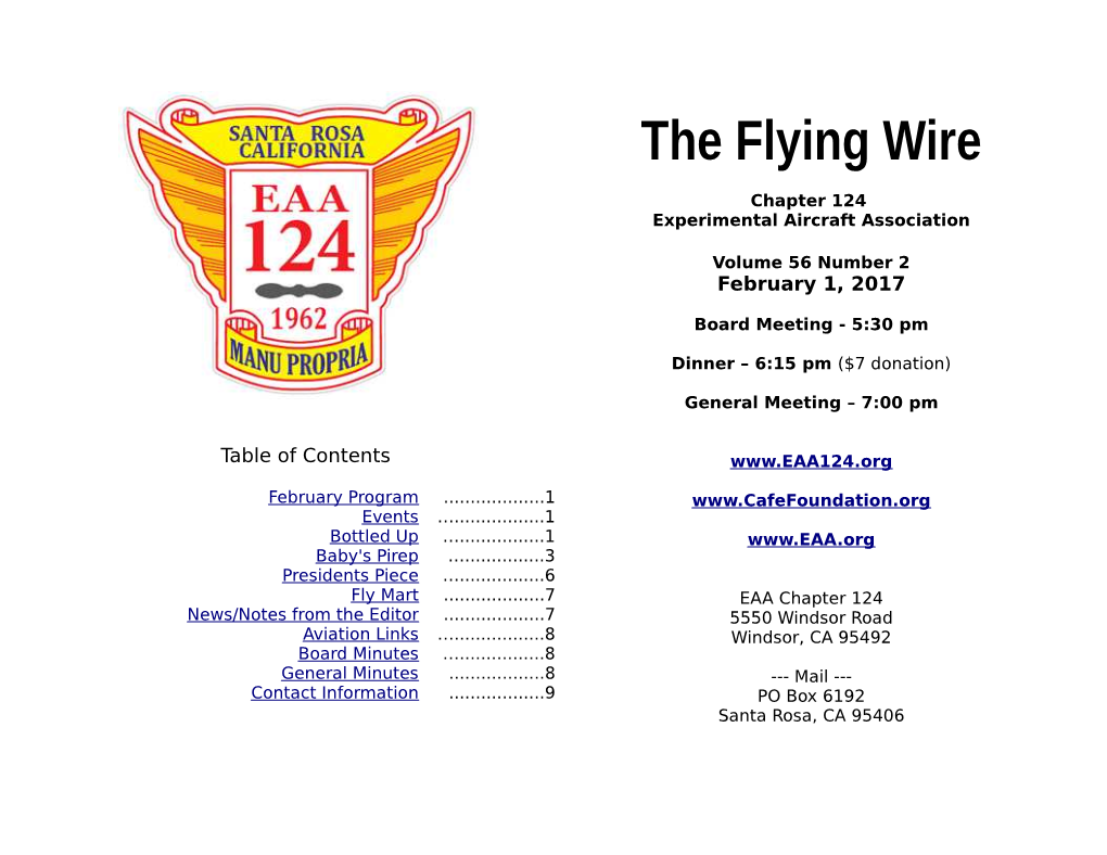 The Flying Wire