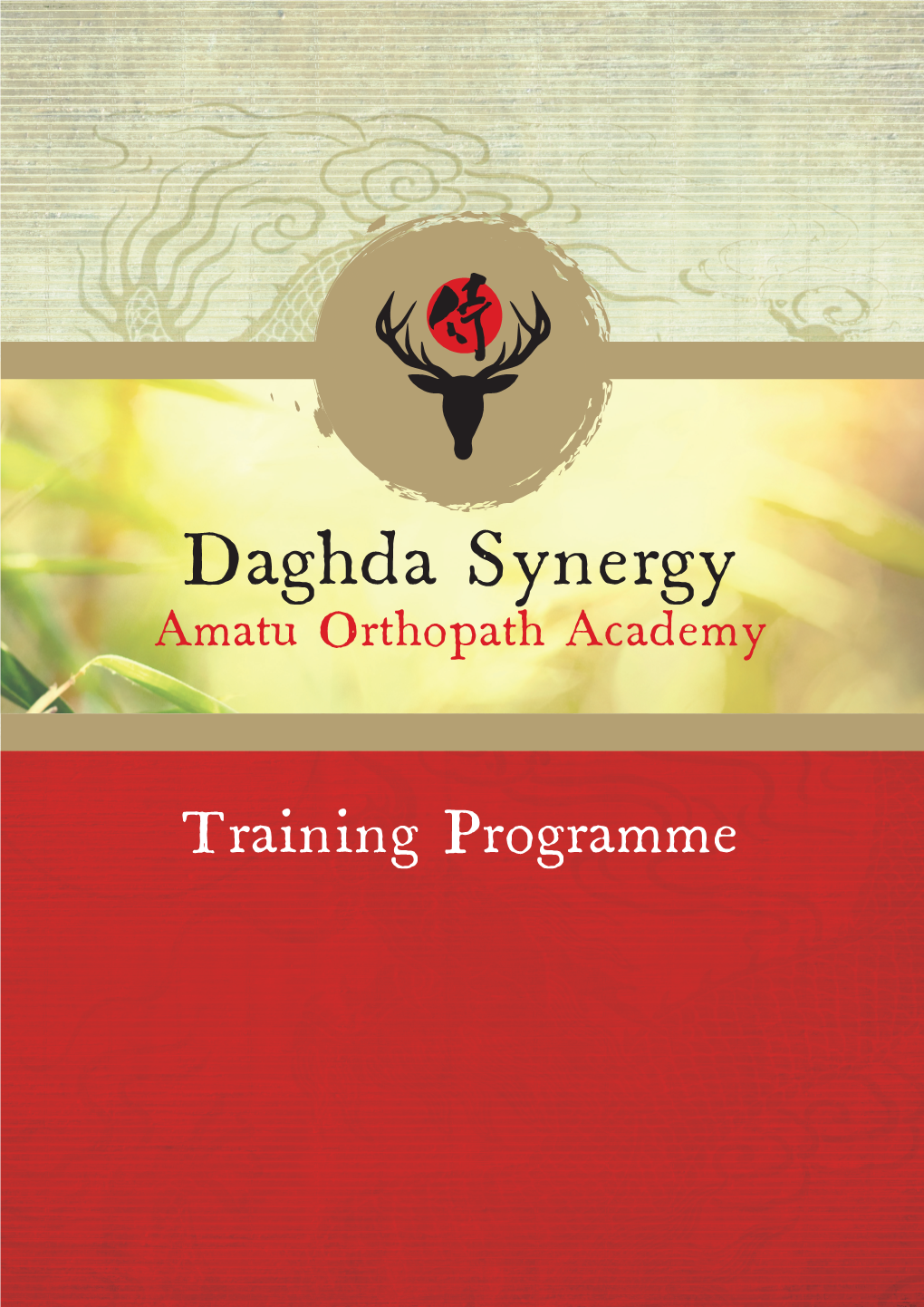 Daghda Synergy Amatu Orthopath Academy