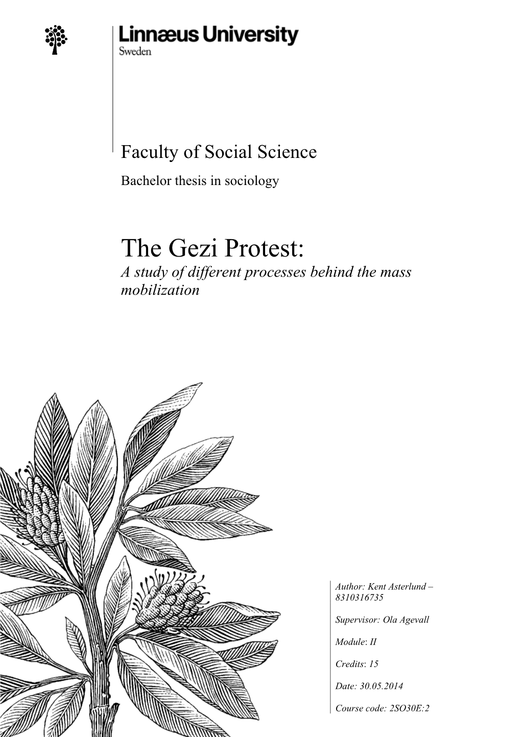The Gezi Protest: a Study of Different Processes Behind the Mass Mobilization