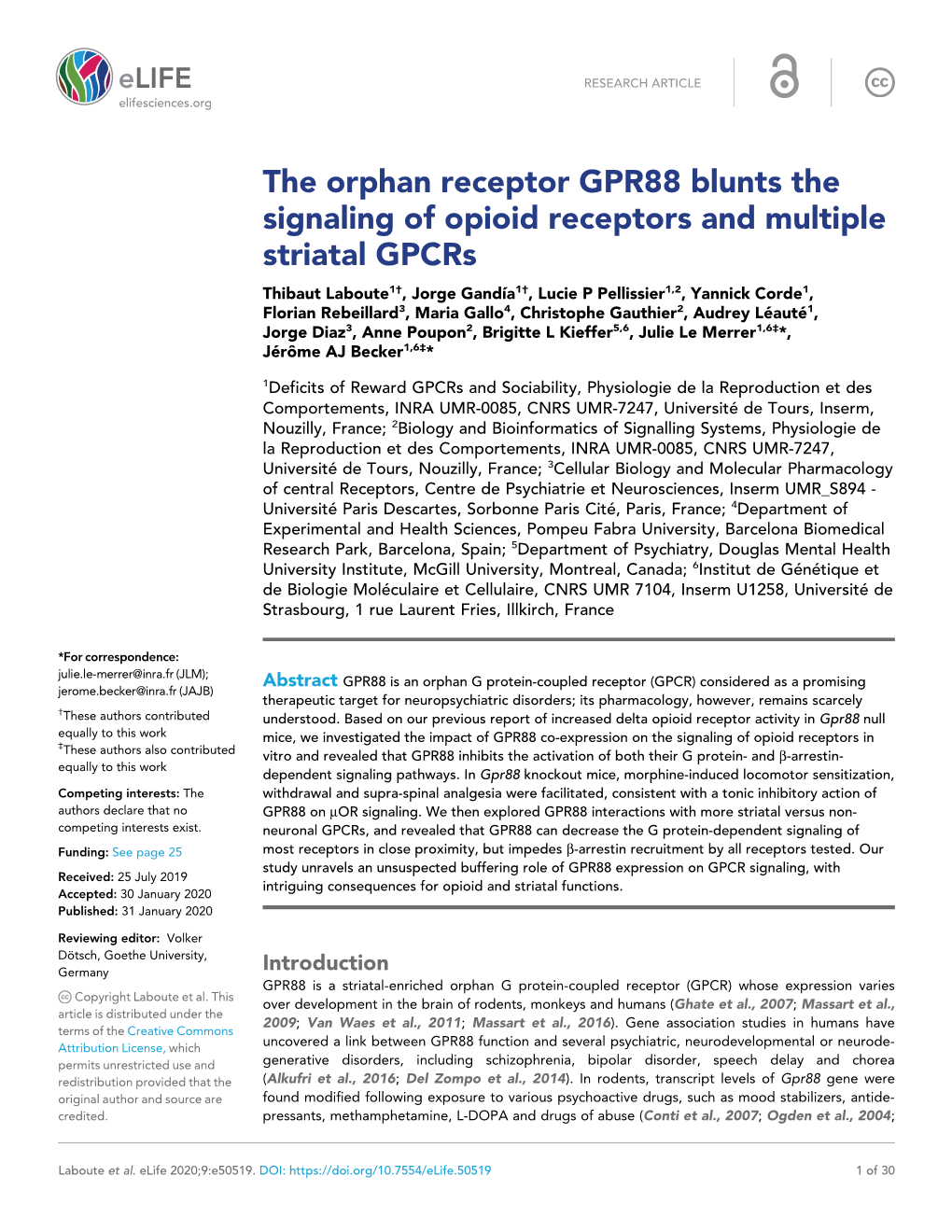 The Orphan Receptor GPR88 Blunts the Signaling of Opioid Receptors
