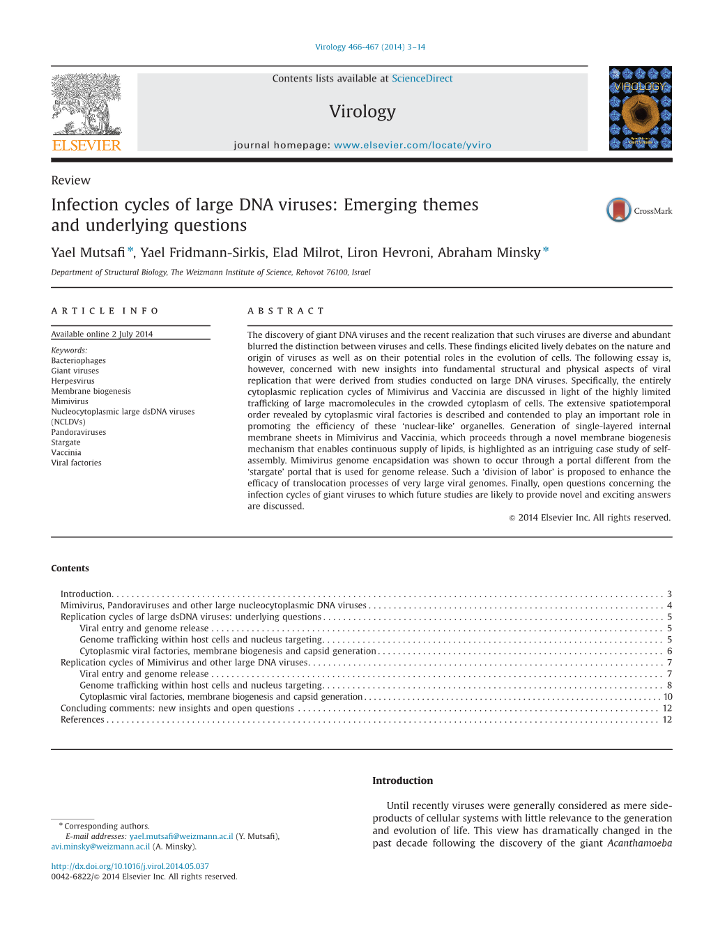 Infection Cycles of Large DNA Viruses Emerging Themes and Underlying