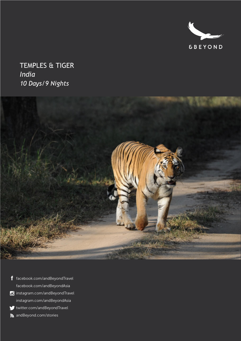 TEMPLES & TIGER India