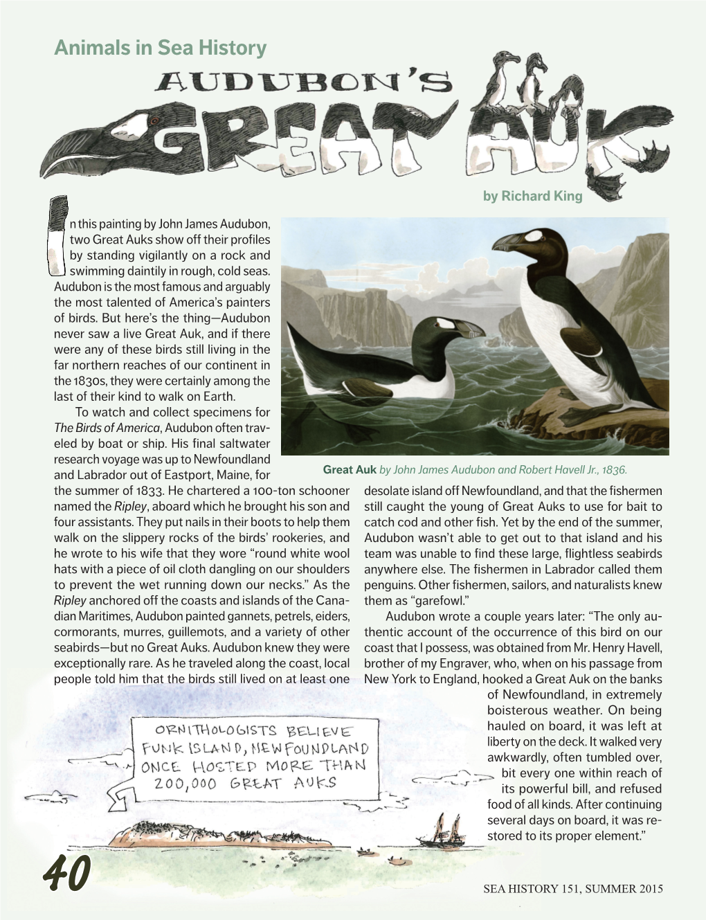 Great Auks Show Off Their Profiles by Standing Vigilantly on a Rock and Swimming Daintily in Rough, Cold Seas