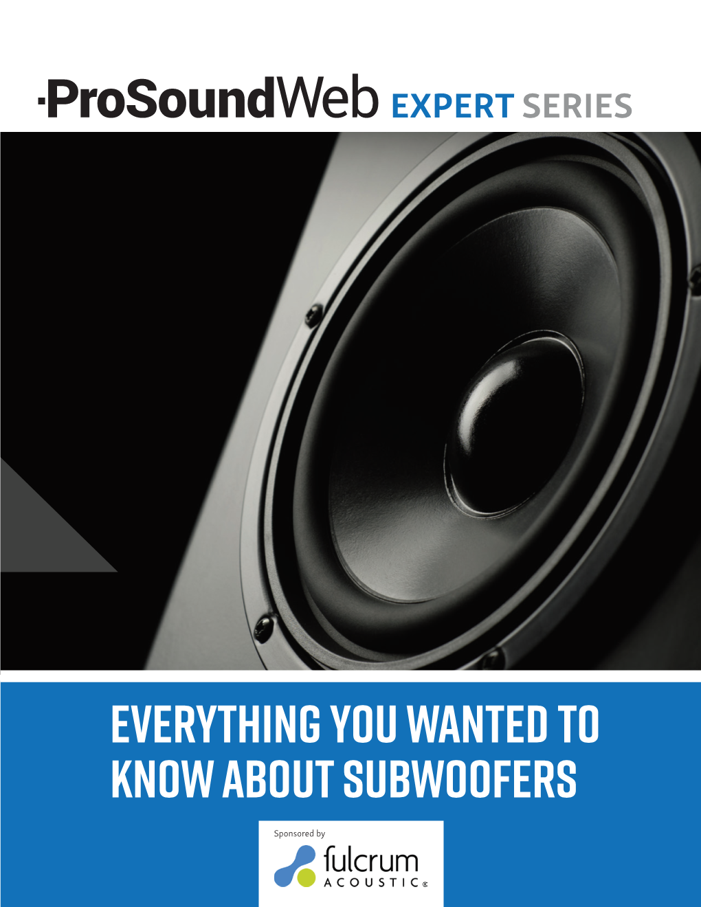 Everything You Wanted to Know About Subwoofers