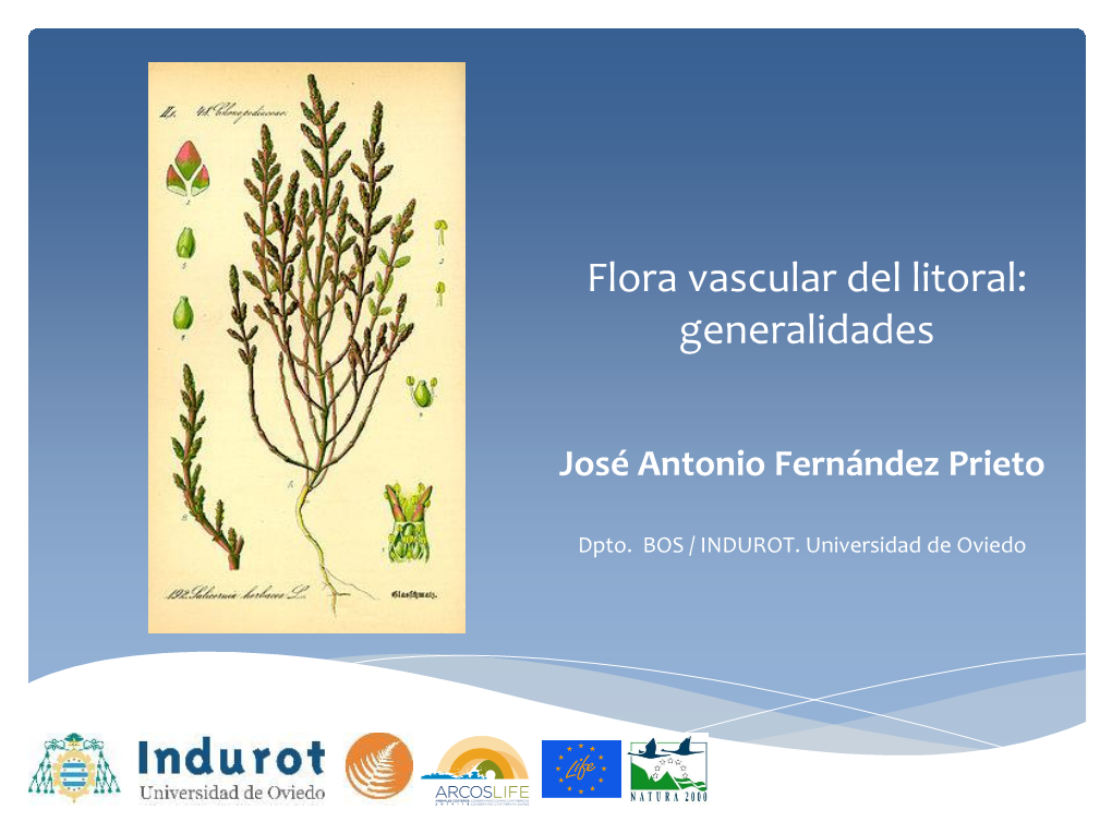 Flora Litoral: Diversidad