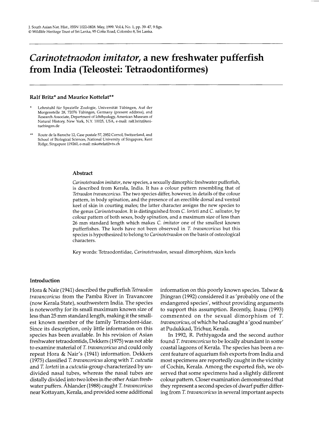 Carinotetraodon Imitator, a New Freshwater Pufferfish from India (Teleostei: Tetraodontiformes)