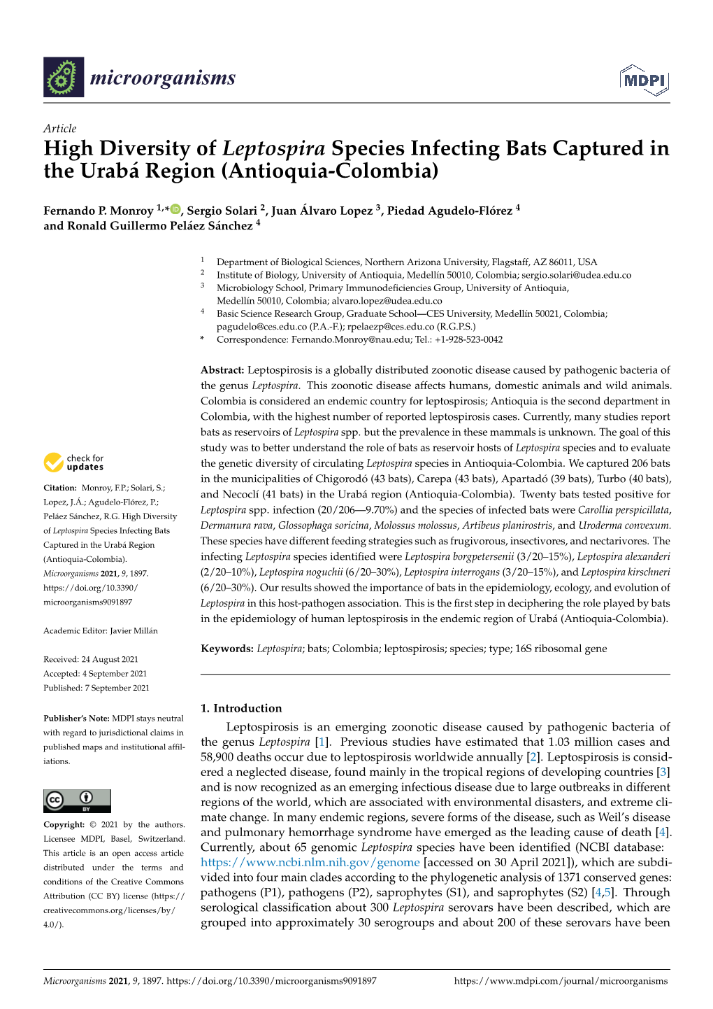 High Diversity of Leptospira Species Infecting Bats Captured in the Urabá Region (Antioquia-Colombia)