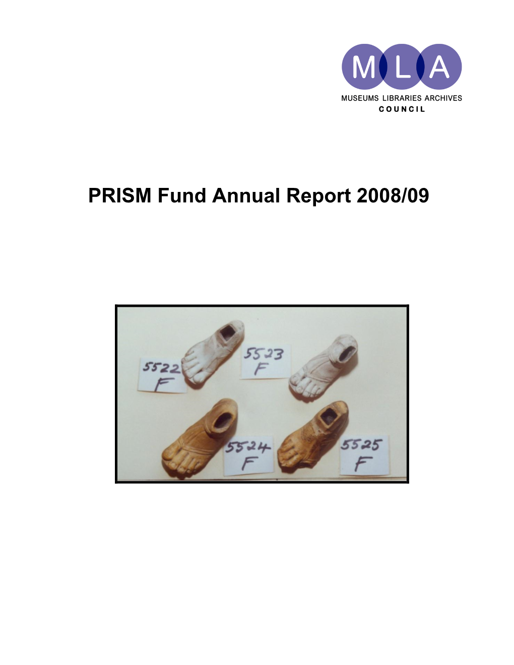 PRISM Grant Fund Annual Report for 2005/06