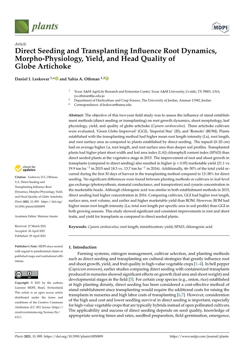 Direct Seeding and Transplanting Influence Root Dynamics, Morpho