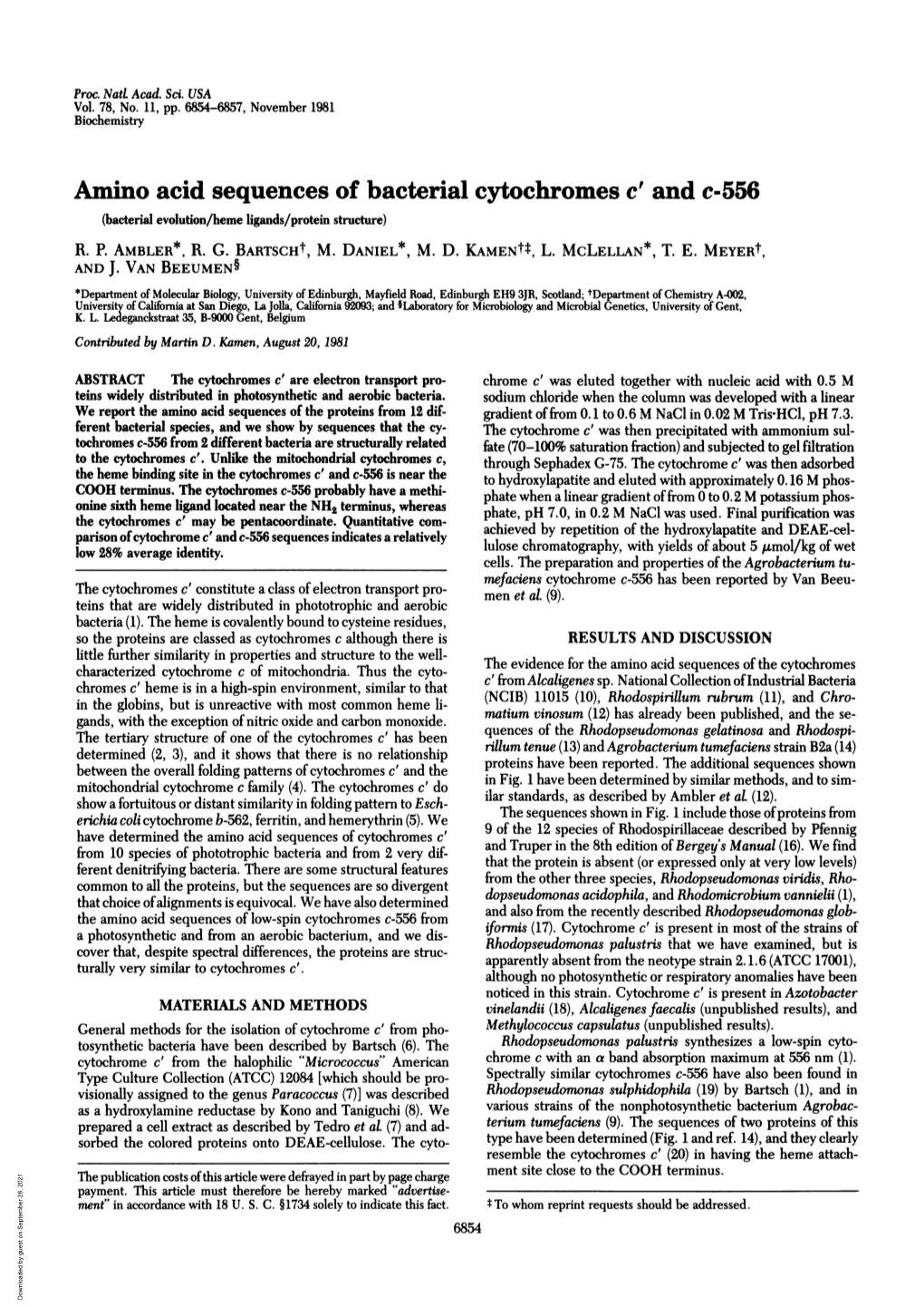 Amino Acid Sequences of Bacterial Cytochromes C' and C-556 (Bacterial Evolution/Heme Ligands/Protein Structure) R