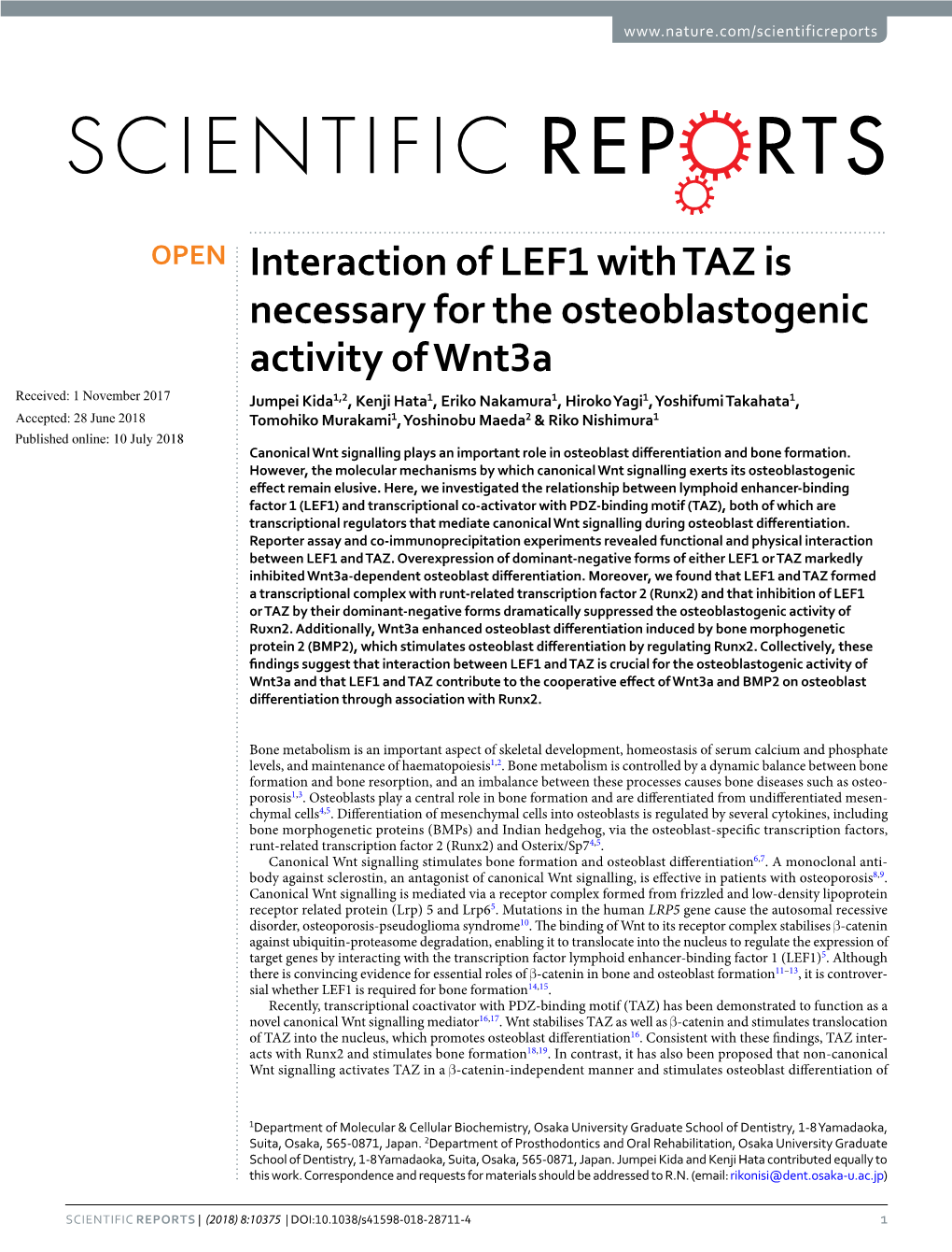 Interaction of LEF1 with TAZ Is Necessary for the Osteoblastogenic