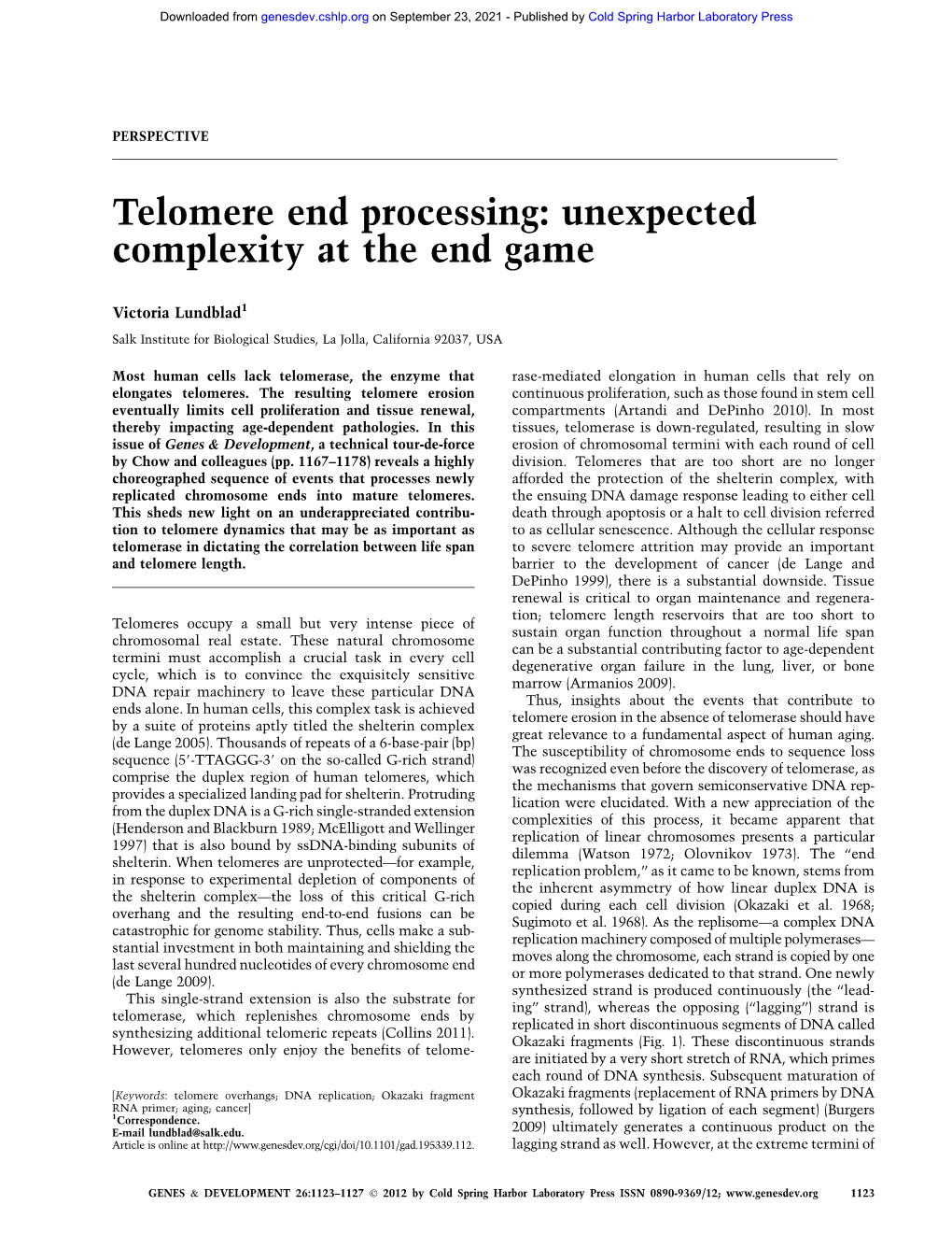 Telomere End Processing: Unexpected Complexity at the End Game