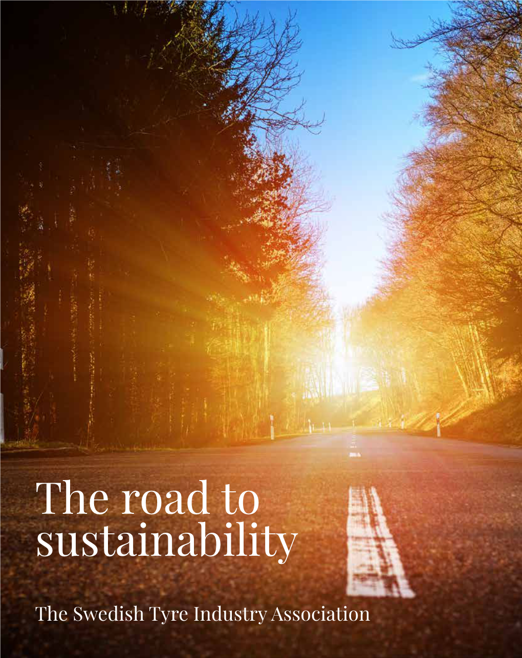 The Road to Sustainability