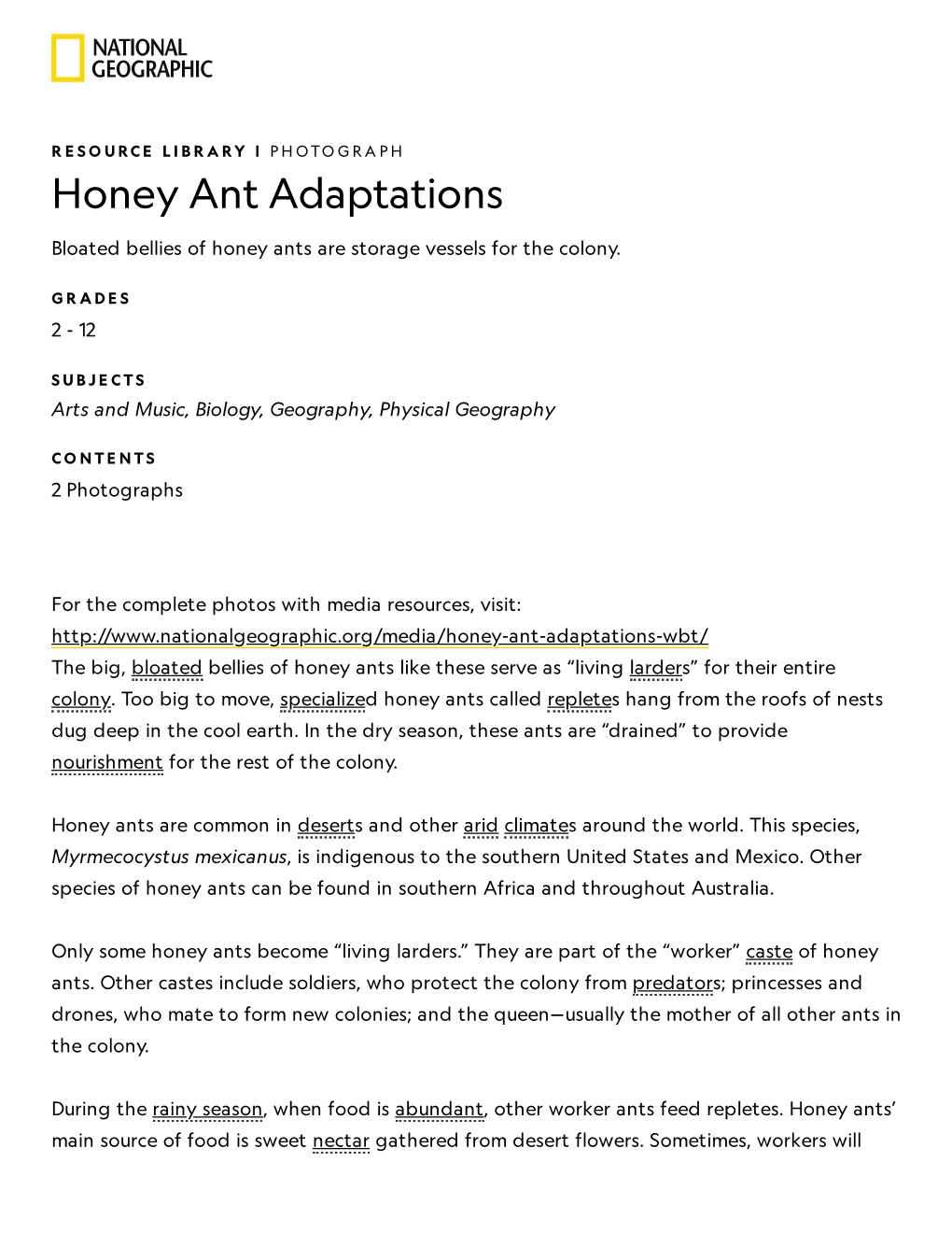 Honey Ant Adaptations | National Geographic Society