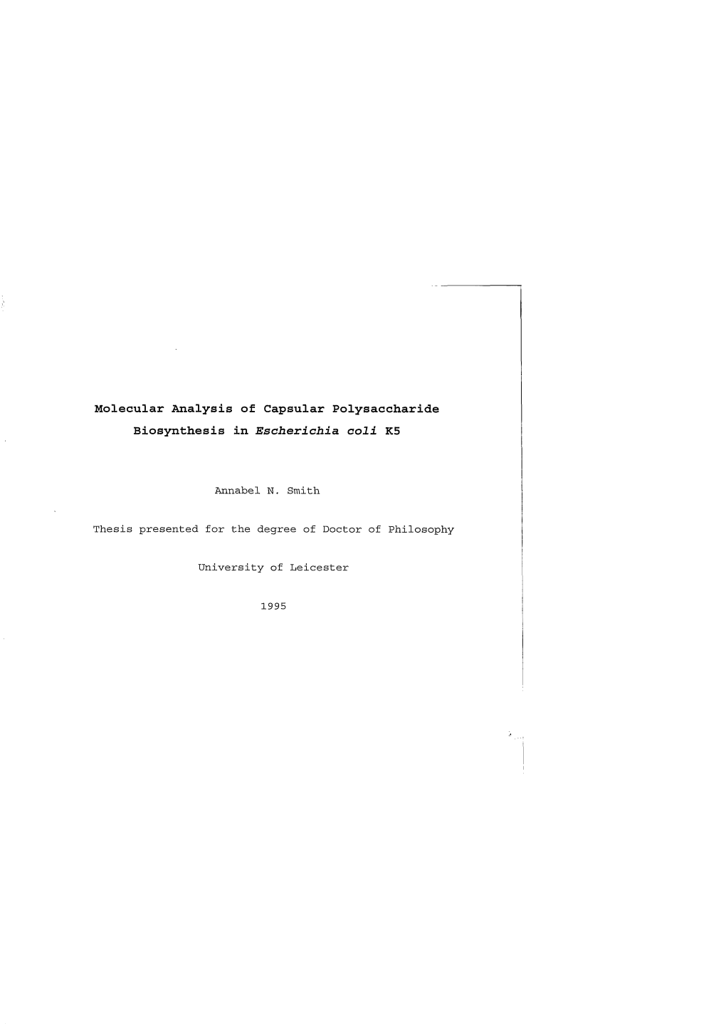 Molecular Analysis of Capsular Polysaccharide Biosynthesis in Escherichia Coli K5