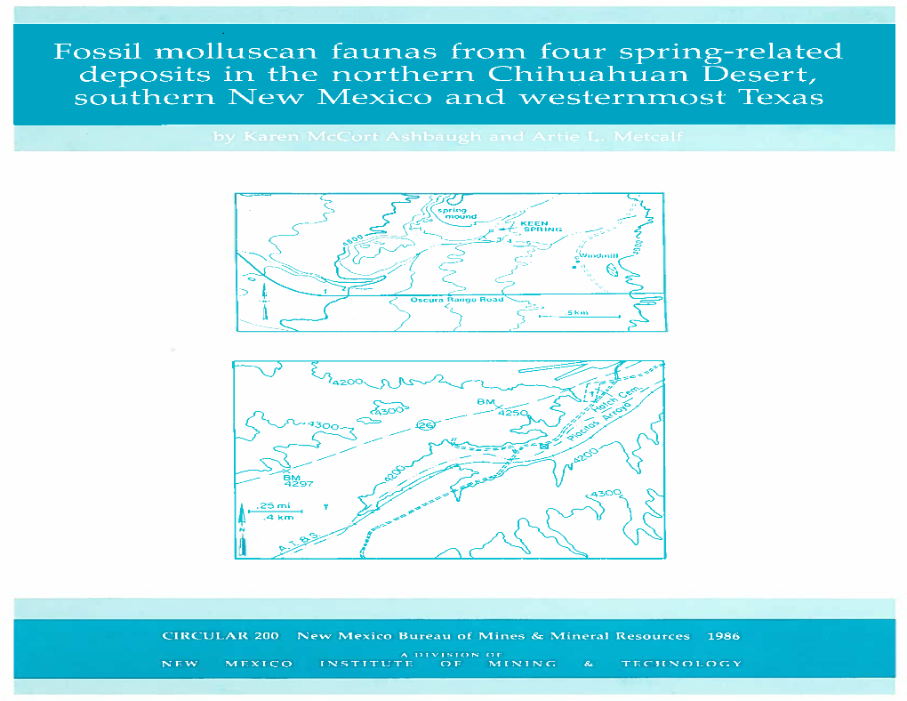 Fossil Molluscan Faunas from Four Spring-Related Deposits in the Northern Chihuahuan Desert, Southern New Mexico and Westernmost Texas