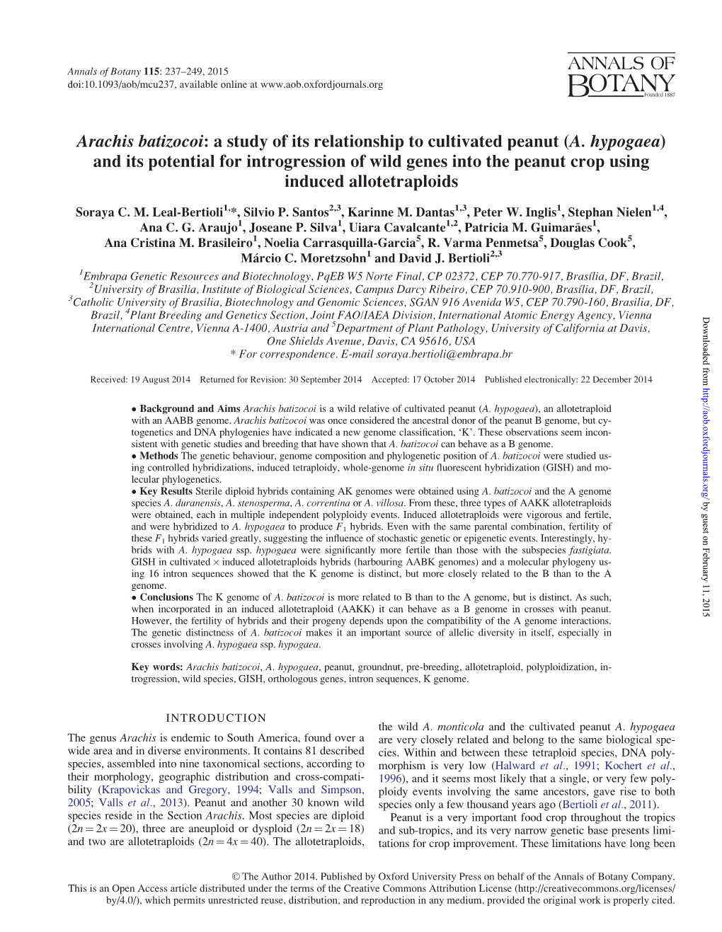 Arachis Batizocoi: a Study of Its Relationship to Cultivated Peanut (A