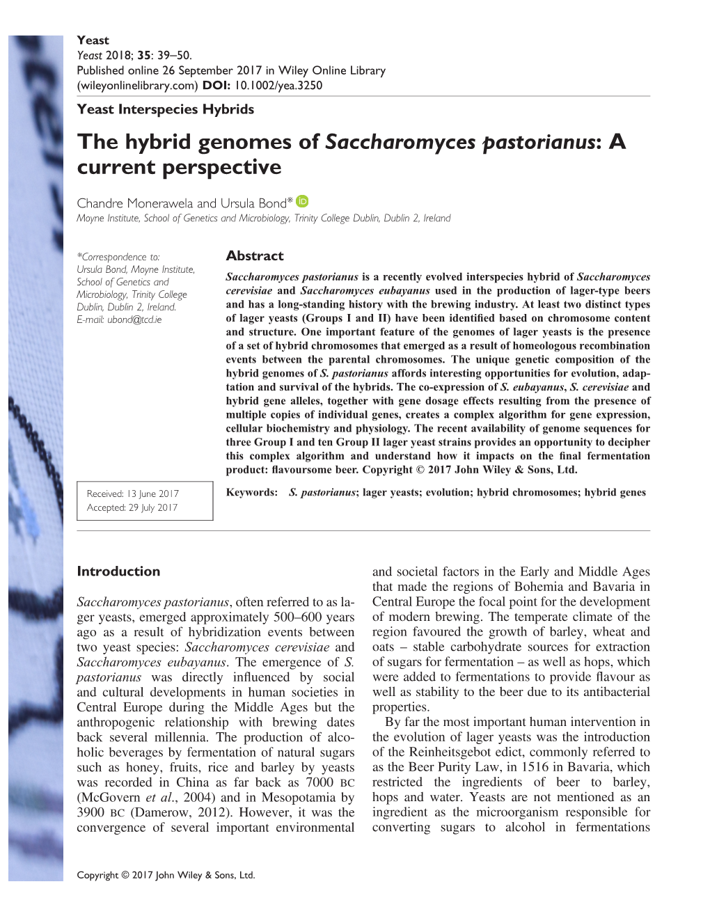 The Hybrid Genomes of Saccharomyces Pastorianus:A Current Perspective