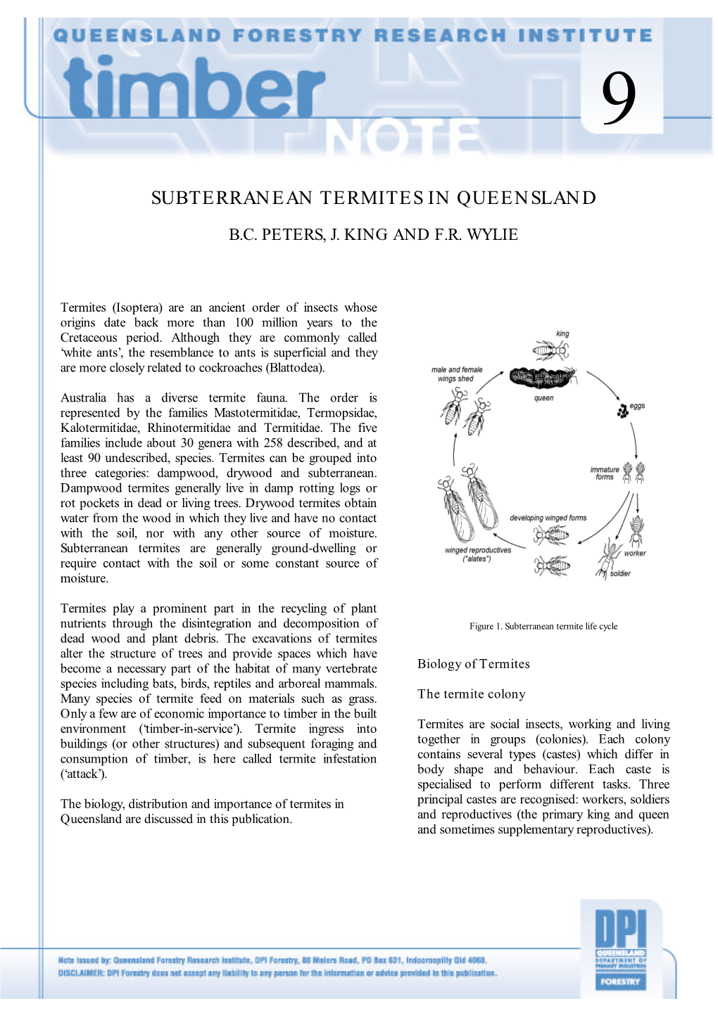 Subterranean Termites in Queensland