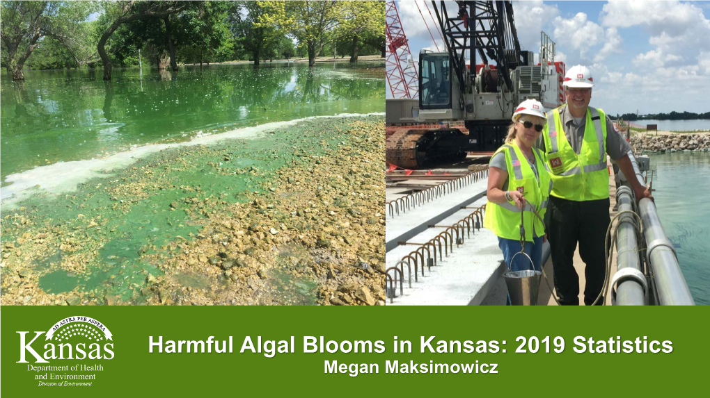 Harmful Algal Blooms in Kansas: 2019 Statistics Megan Maksimowicz Harmful Algal Blooms in Kansas: 2019 Statistics