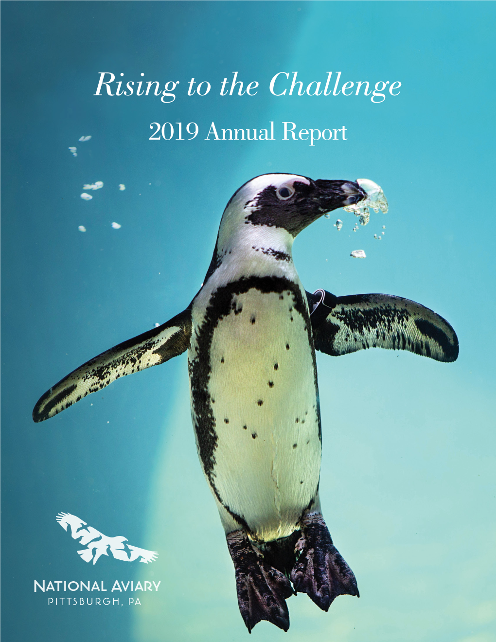 Rising to the Challenge 2019 Annual Report