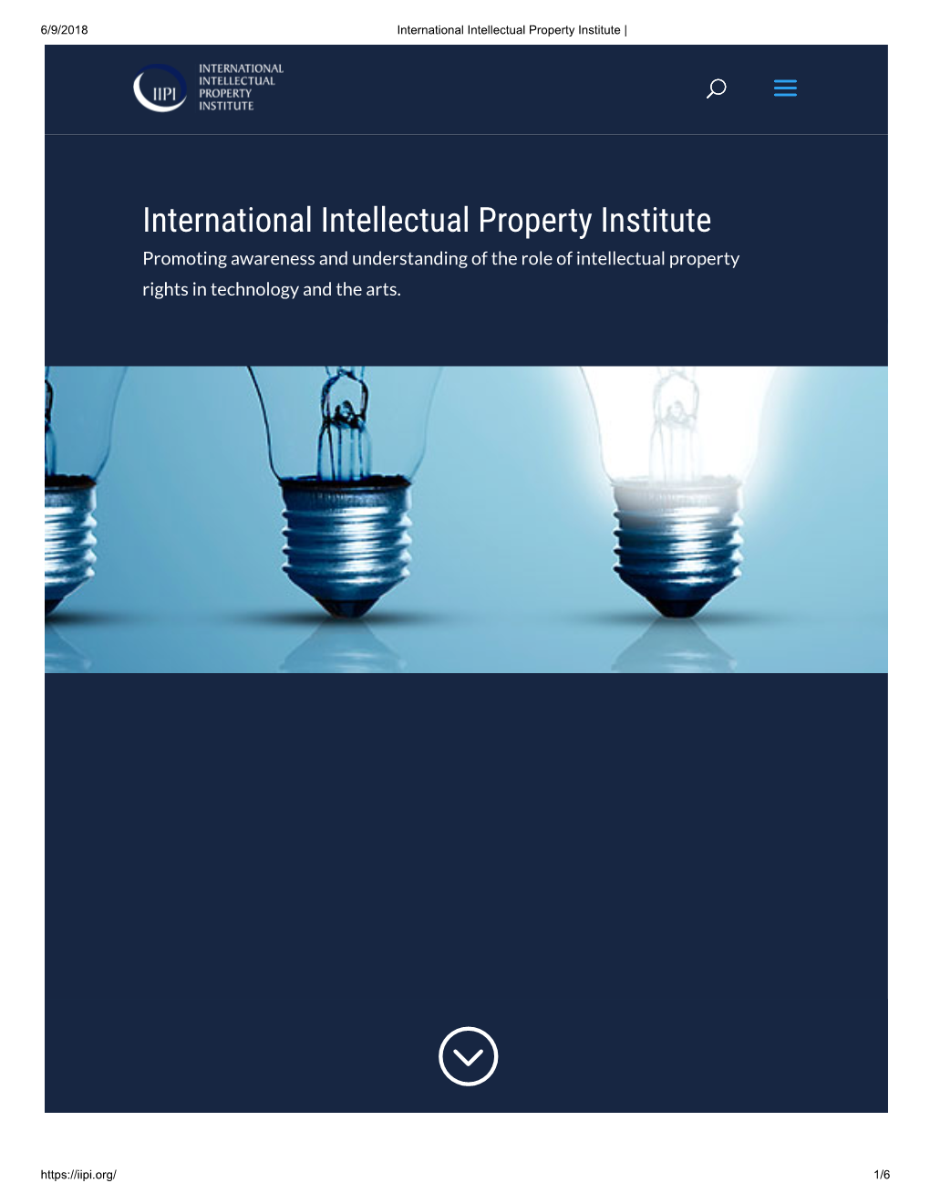International Intellectual Property Institute |