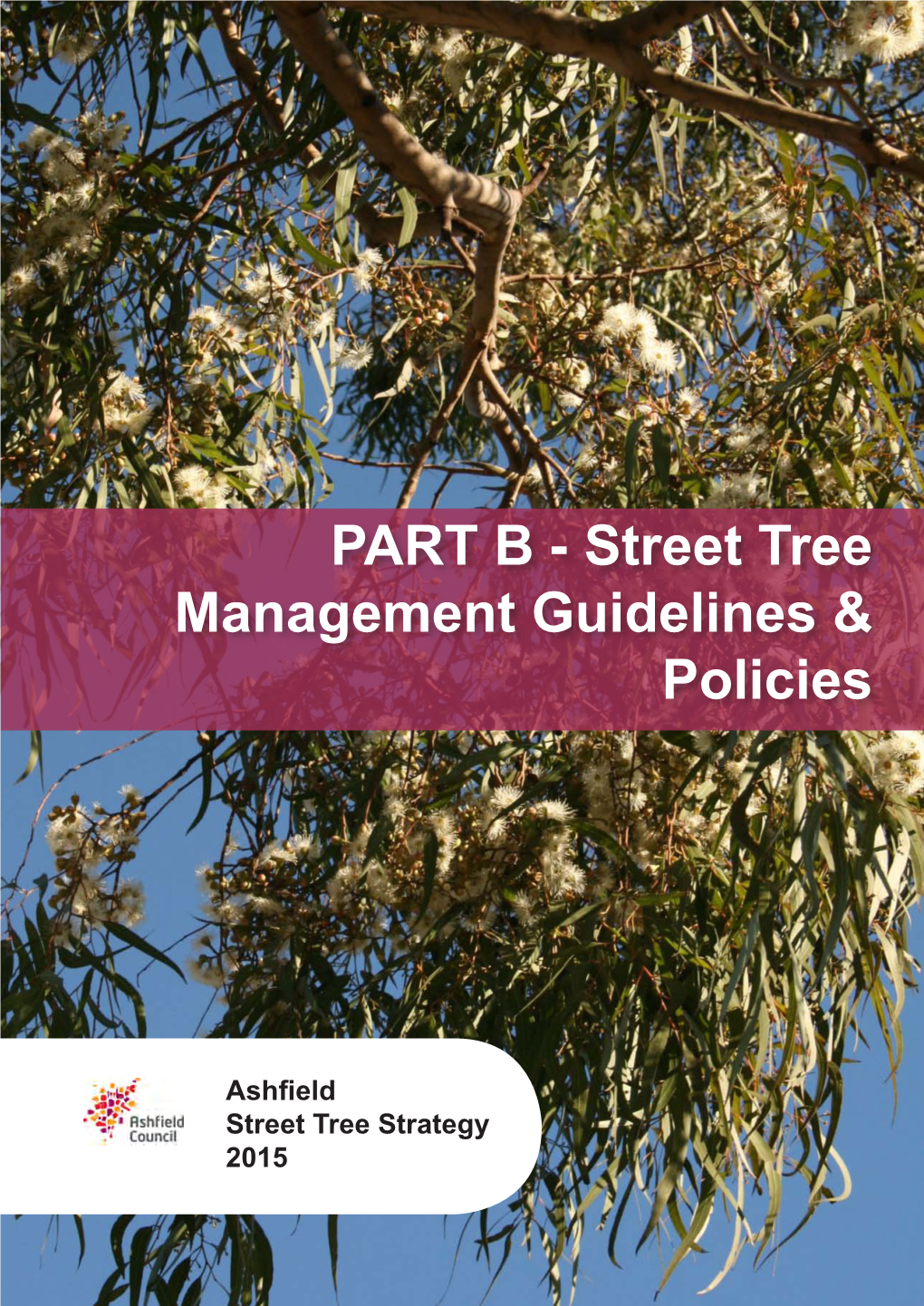 PART B - Street Tree Management Guidelines & Policies