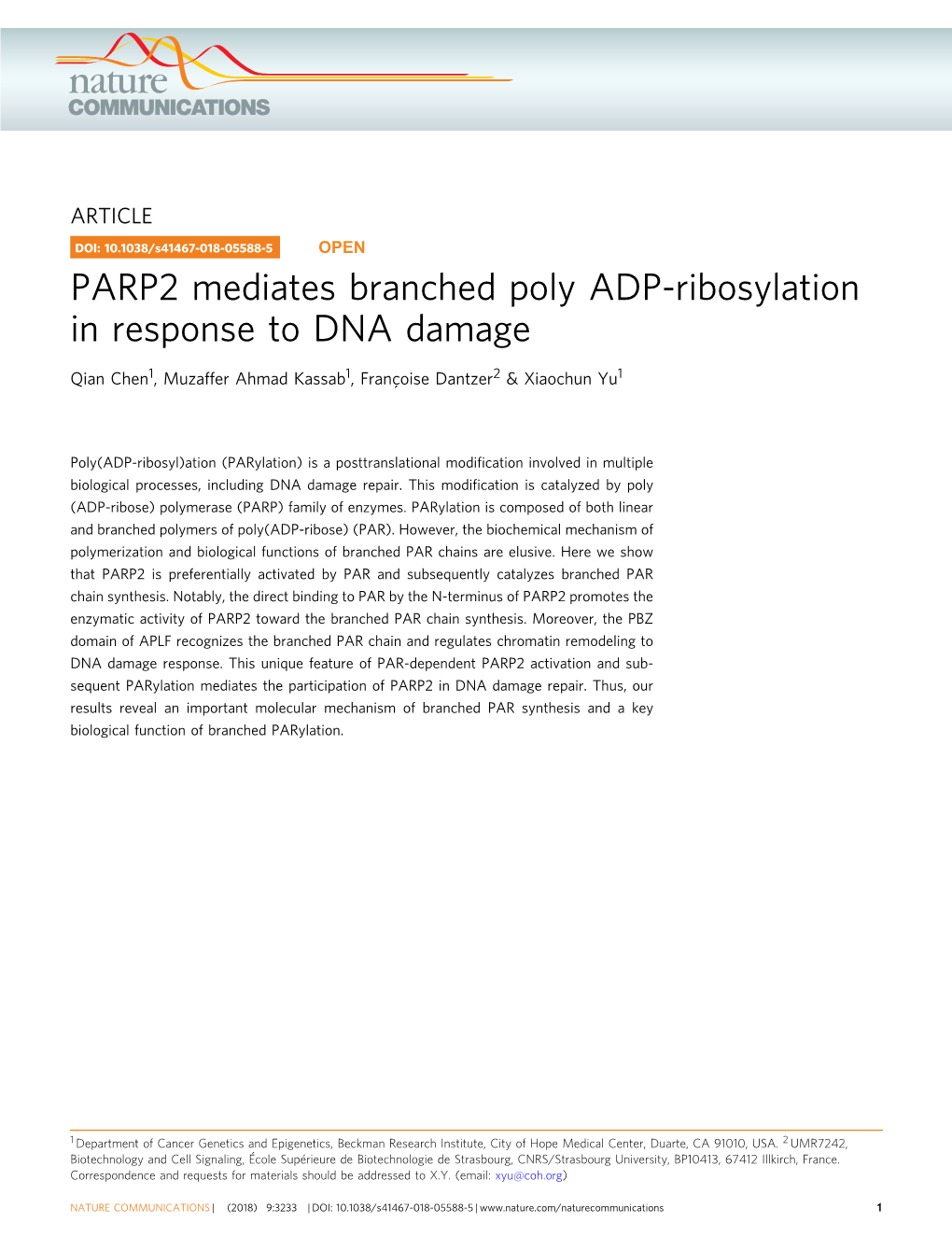 PARP2 Mediates Branched Poly ADP-Ribosylation in Response to DNA Damage