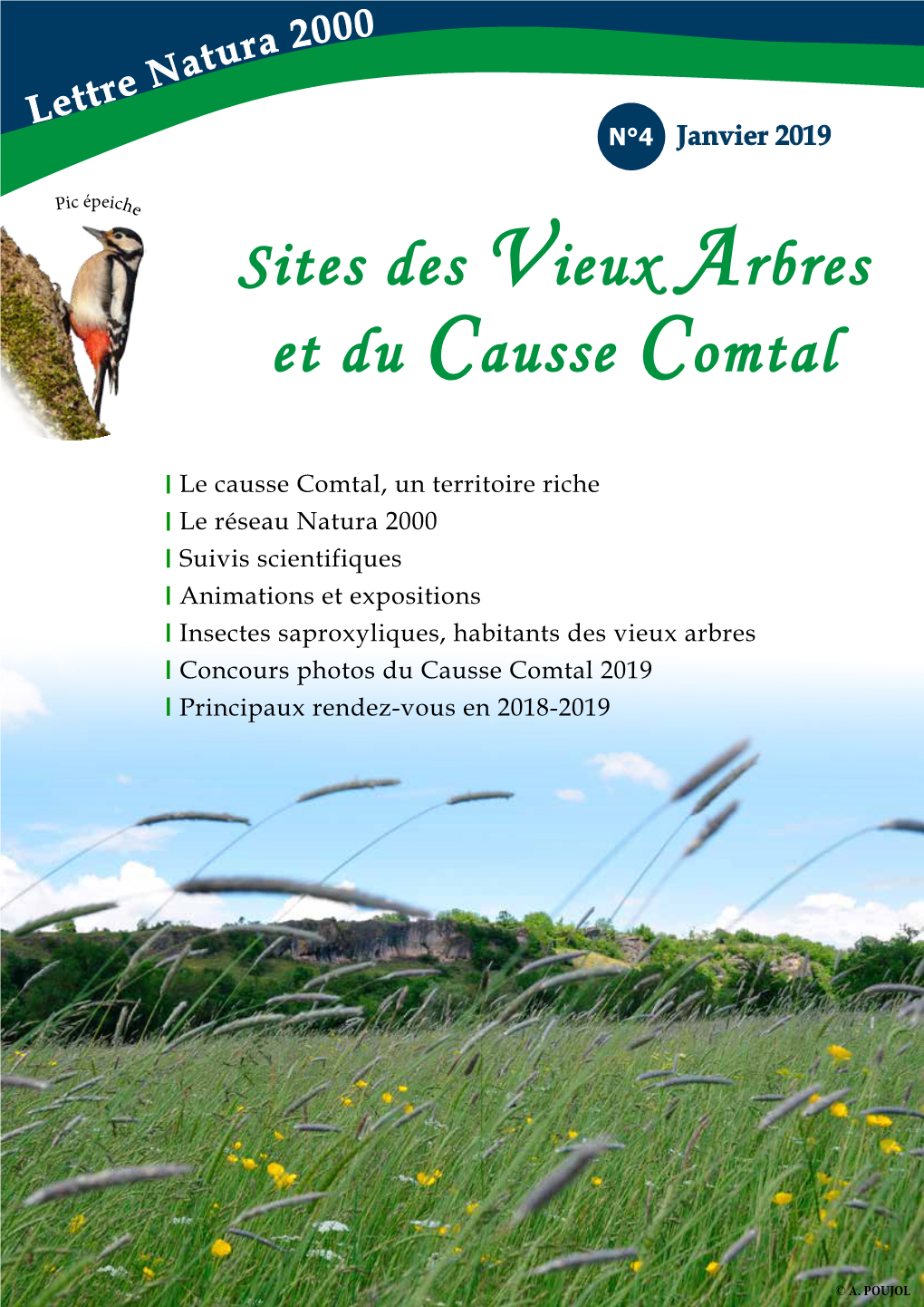 Sites Des Vieux Arbres Et Du Causse Comtal