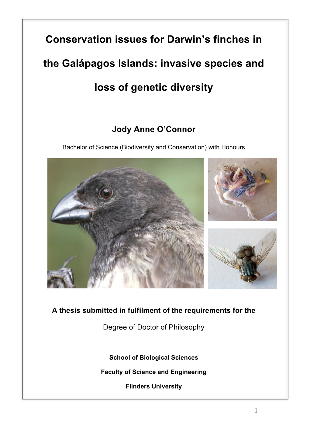 Conservation Issues for Darwin's Finches in the Galápagos Islands: Invasive Species and Loss of Genetic Diversity