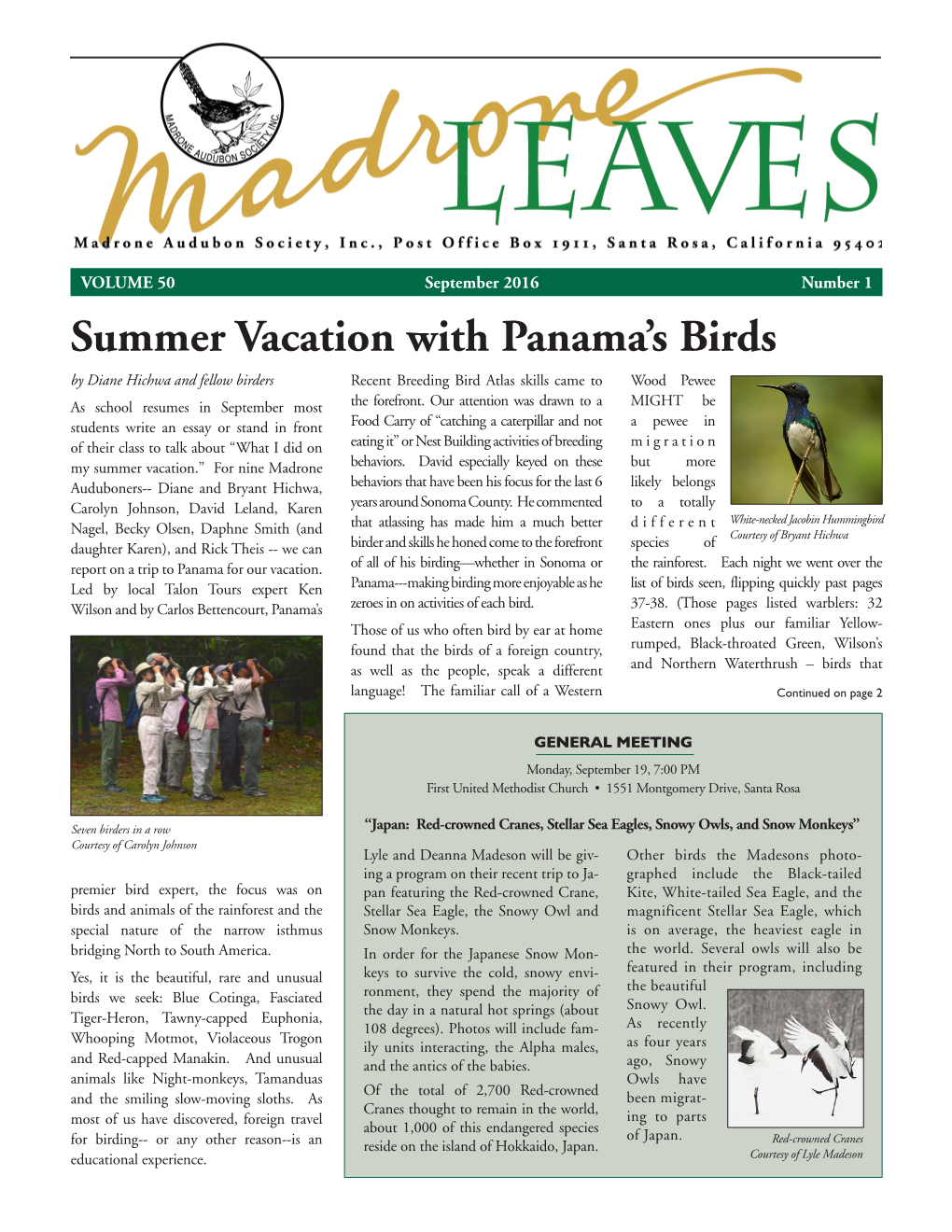 Summer Vacation with Panama's Birds
