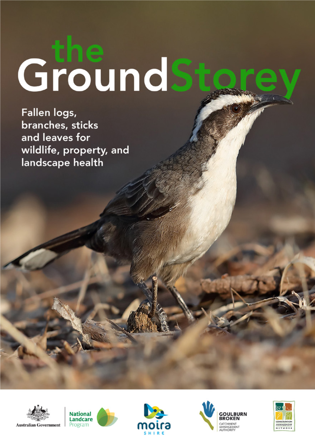 The Ground Storey: Fallen Logs, Branches, Sticks and Leaves for Wildlife, Property, and Landscape Health