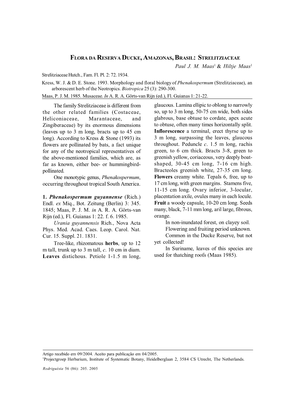 The Family Strelitziaceae Is Different from the Other Related Families